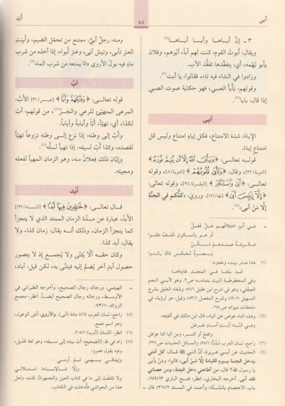 ⁦مفردات ألفاظ القرآن⁩ - الصورة ⁦3⁩