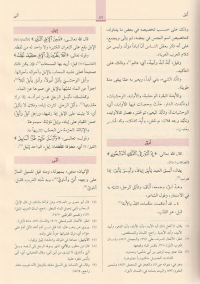 ⁦مفردات ألفاظ القرآن⁩ - الصورة ⁦4⁩