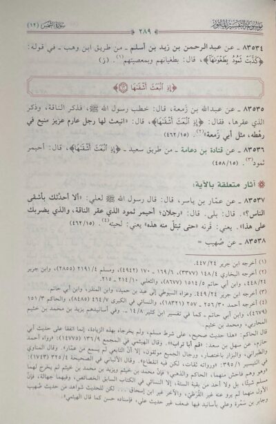 ⁦موسوعة التفسير المأثور أكبر جامع لتفسير النبي ﷺ والصحابة والتابعين وتابعيهم معزوا إلى مصادره الأصلية مقرونا بتعليقات خمسة من أبرز المحققين في التفسير 1/25⁩ - الصورة ⁦5⁩